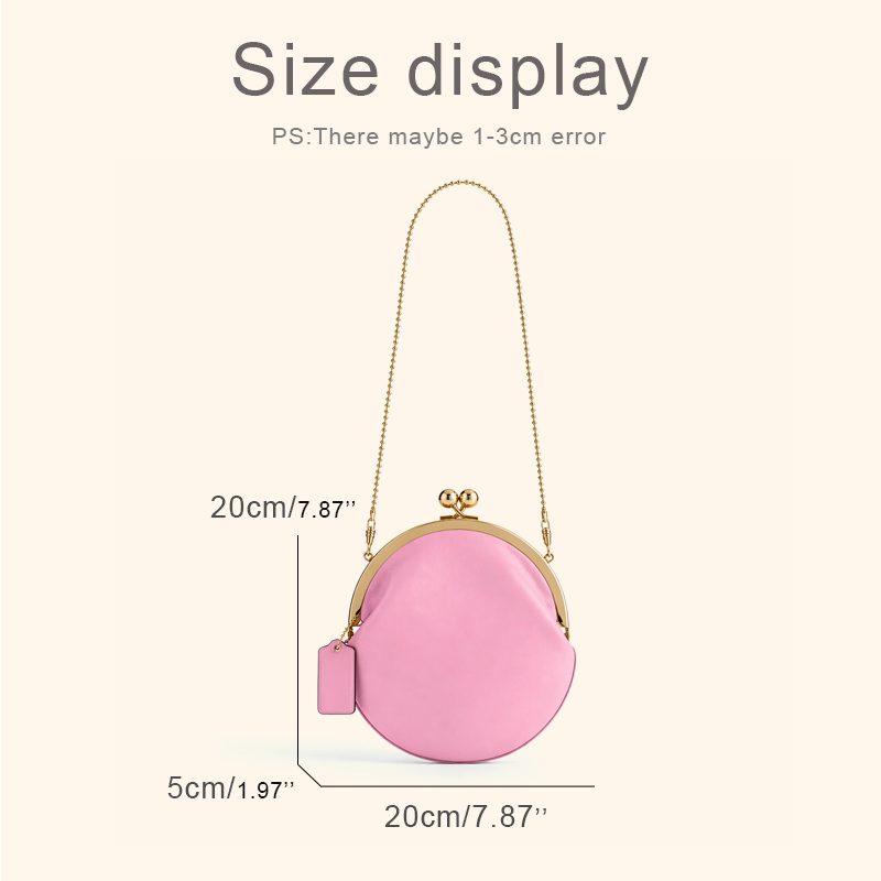 Kisslock Pouch 20cm Clutch Cli - Luxury Bags Consignment recension och pris