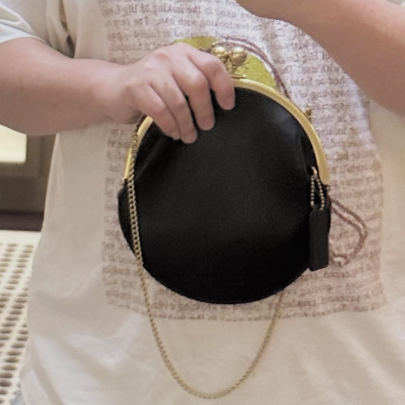 Kisslock Pouch 20cm Clutch Cli - Luxury Bags Consignment recension och pris